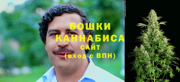 бошки Богородицк