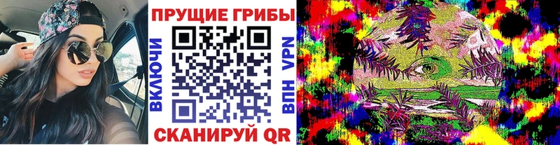 даркнет сайт  Моршанск  Псилоцибиновые грибы Psilocybine cubensis 