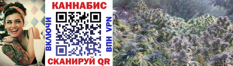 где найти наркотики  Моршанск  Конопля план 